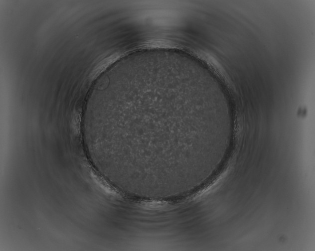 X0000091550833200708241753