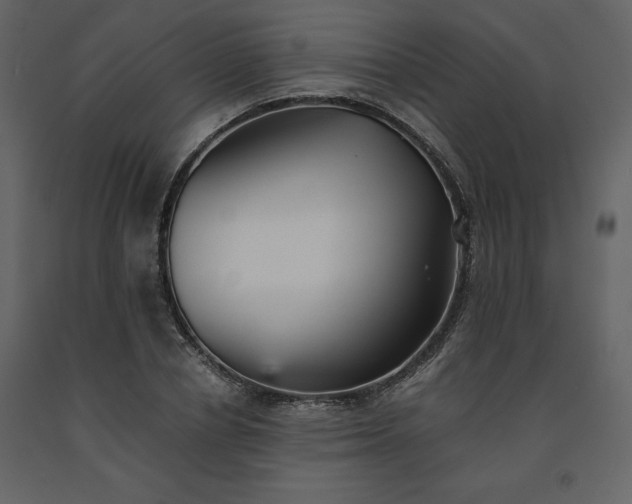 X0000091550834200708241753