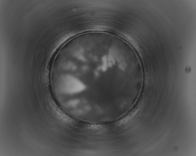 X0000091550835200708241753
