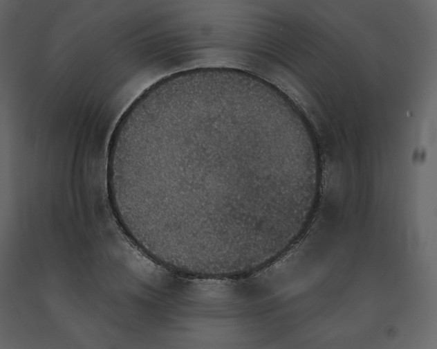 X0000091550836200708241753