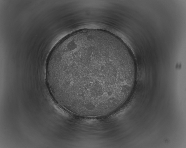 X0000091550837200708241753