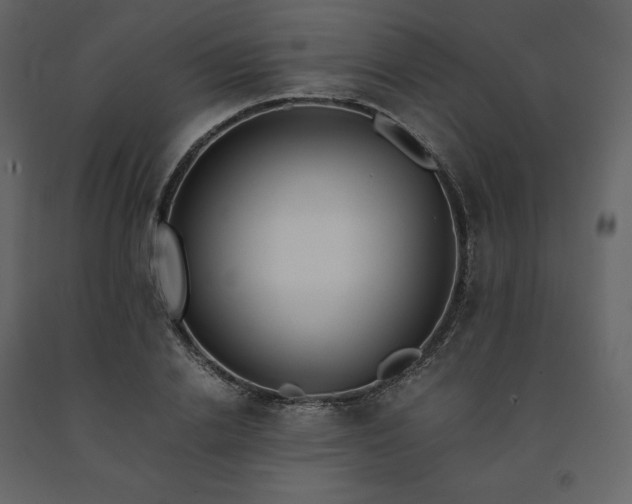 X0000091550838200708241753