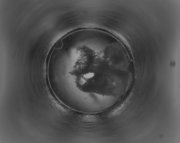 X0000091550839200708241753