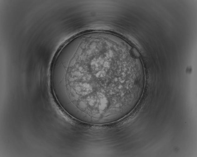 X0000091550840200708241753