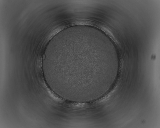 X0000091550841200708241753