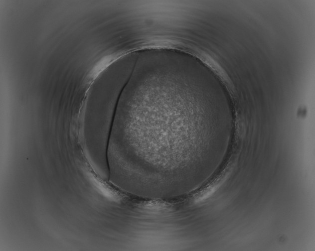 X0000091550842200708241753