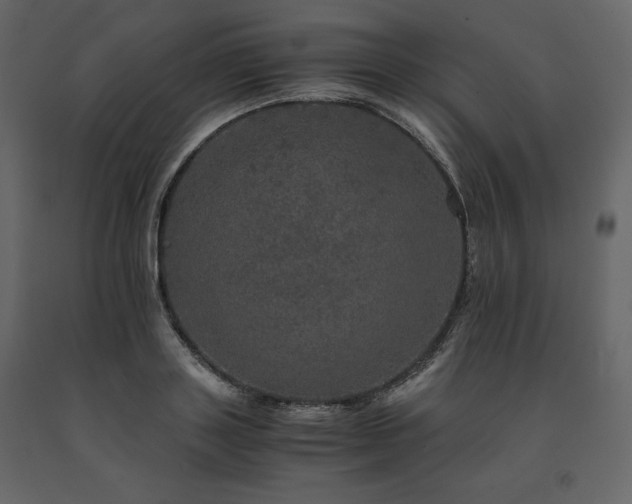 X0000091550843200708241753