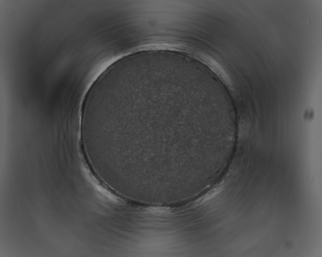 X0000091550844200708241753