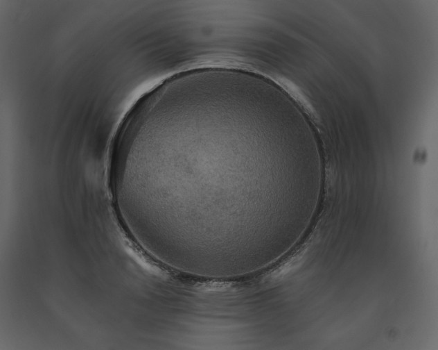 X0000091550846200708241753
