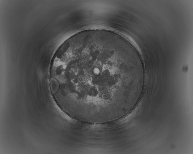 X0000091550847200708241753