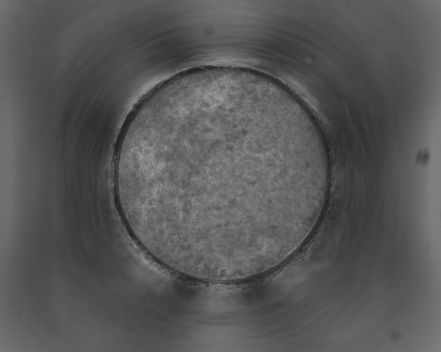 X0000091550848200708241753