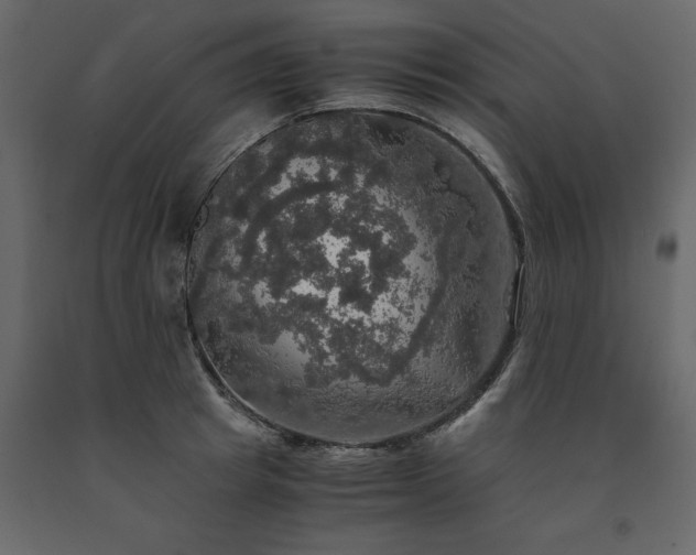 X0000091550849200708241753