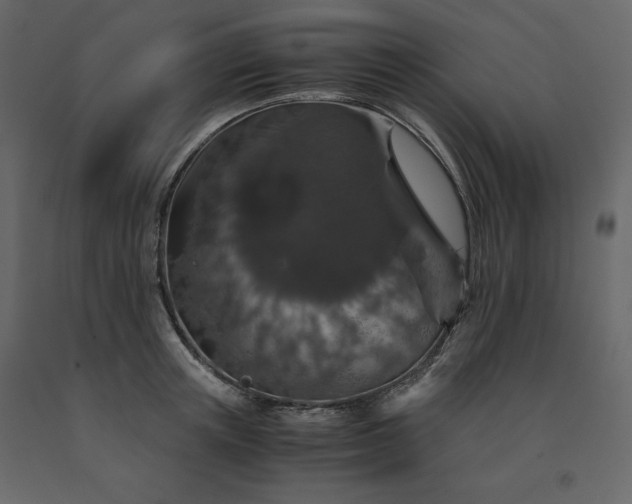 X0000091550851200708241753