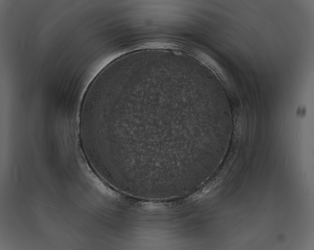 X0000091550852200708241754