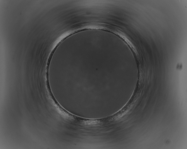 X0000091550853200708241754