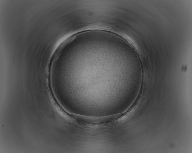 X0000091550854200708241754