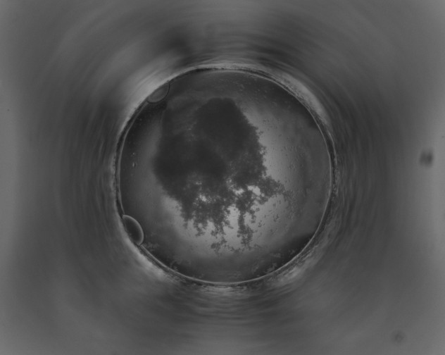 X0000091550855200708241754