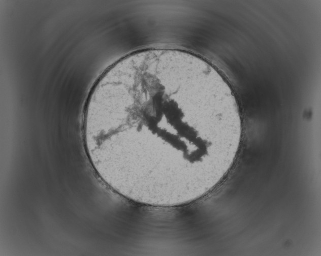 X0000091550856200708241754
