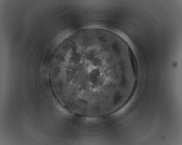 X0000091550857200708241754