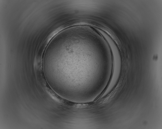 X0000091550858200708241754