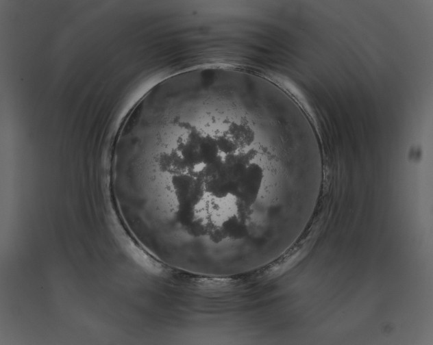 X0000091550859200708241754