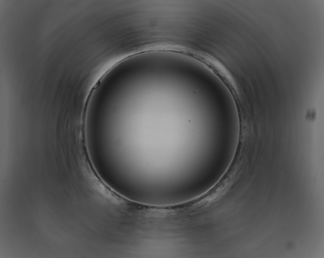 X0000091550860200708241754