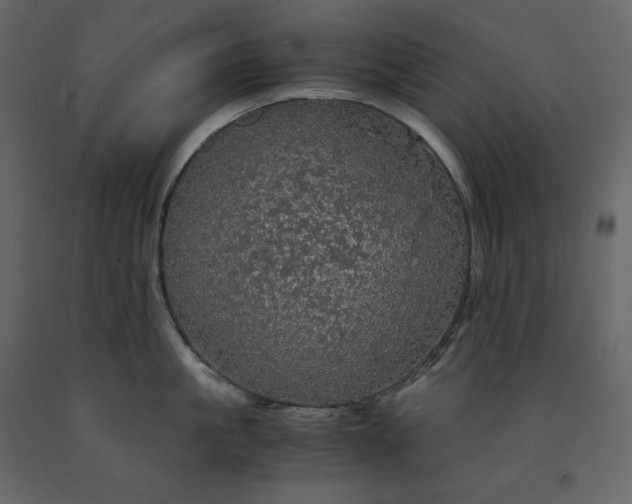 X0000091550861200708241754