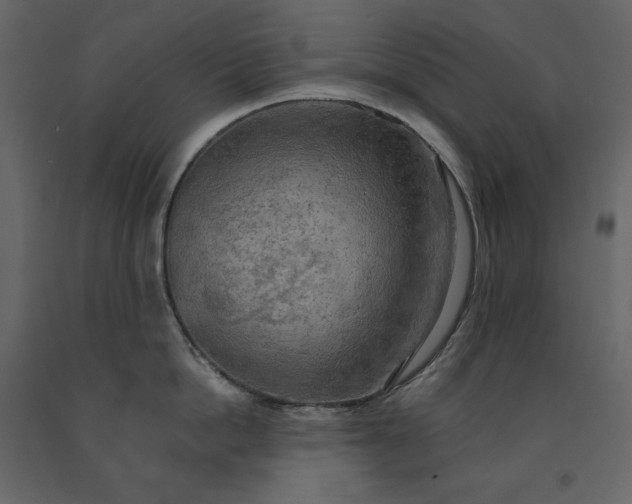 X0000091550862200708241754