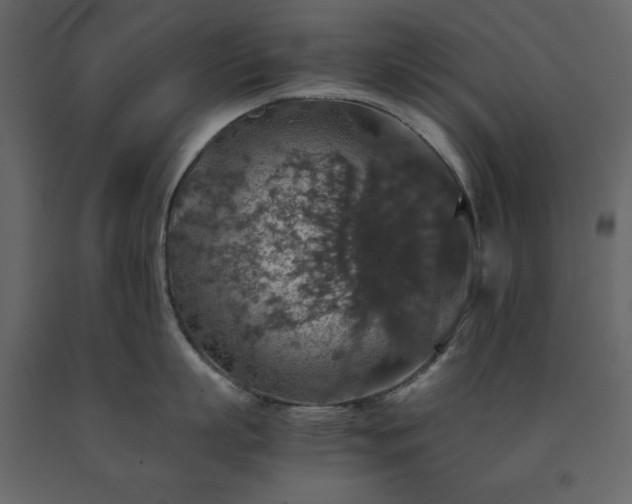 X0000091550863200708241754