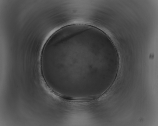 X0000091550864200708241754