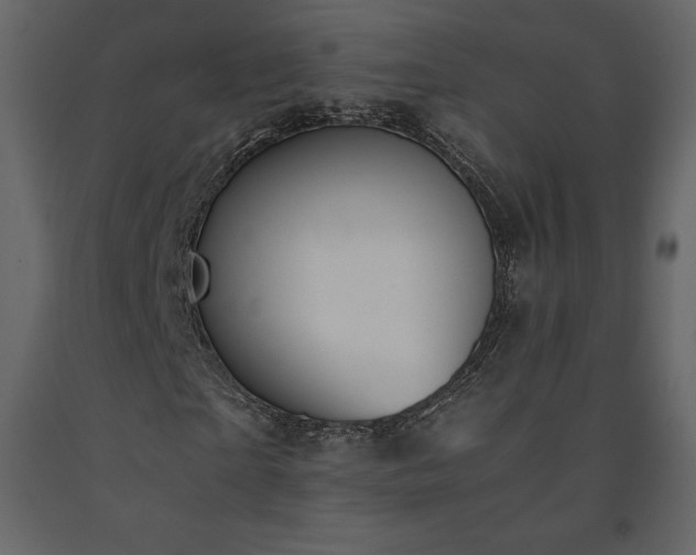 X0000091550865200708241753