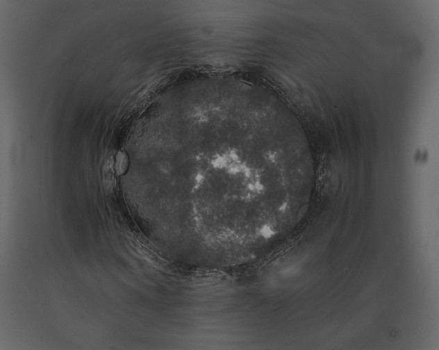 X0000091550866200708241753