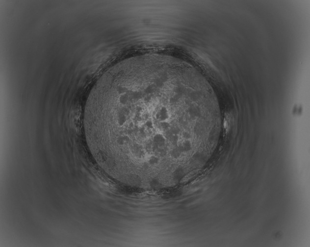 X0000091550867200708241753