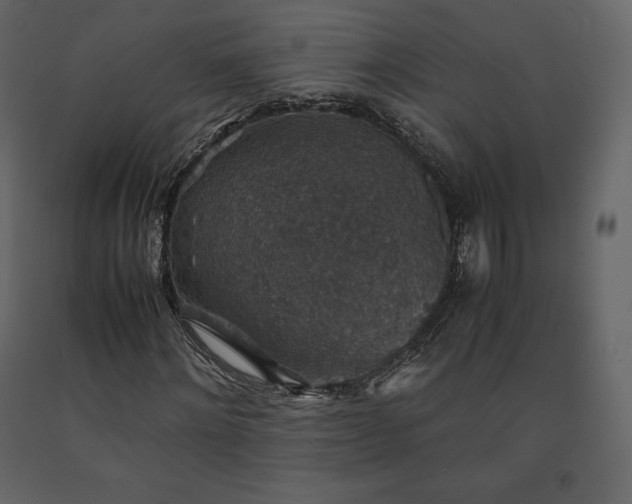 X0000091550868200708241753