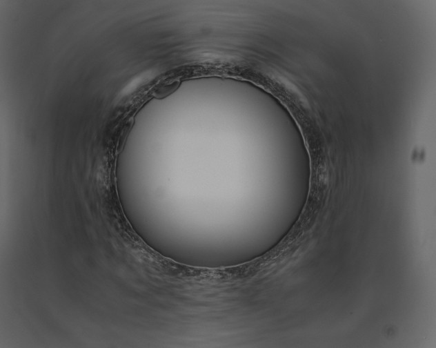 X0000091550869200708241753