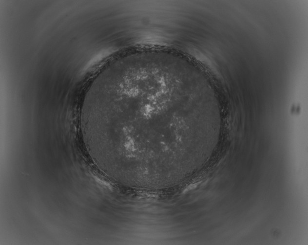 X0000091550870200708241753