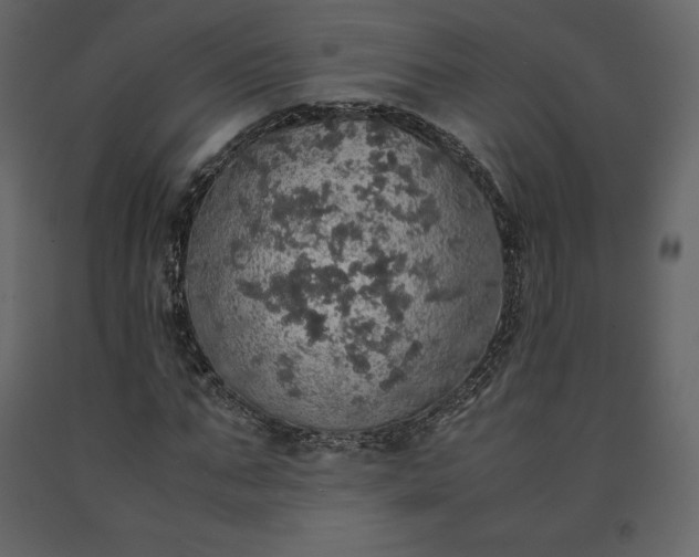 X0000091550871200708241753