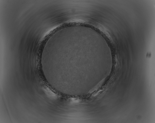 X0000091550872200708241753