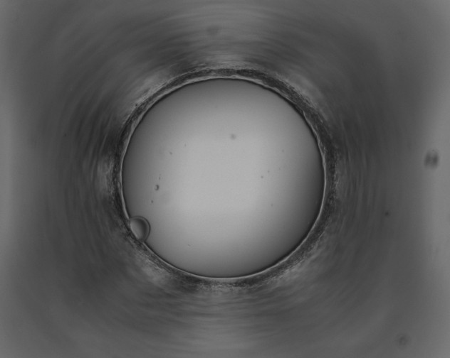 X0000091550873200708241753
