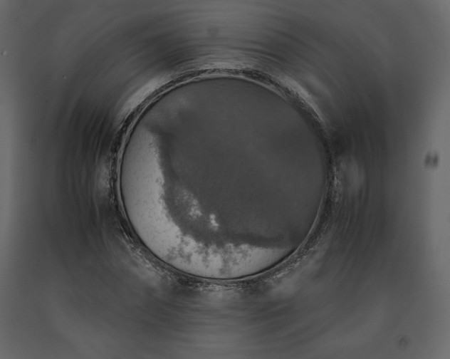 X0000091550874200708241753