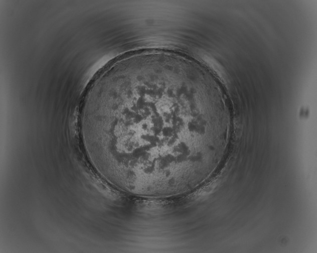 X0000091550875200708241753