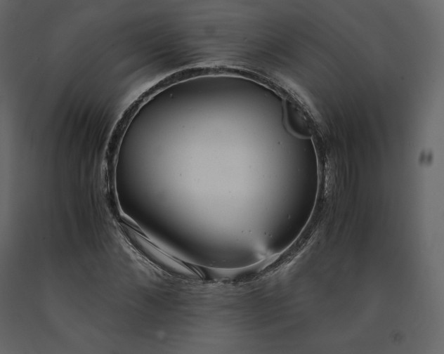 X0000091550876200708241753