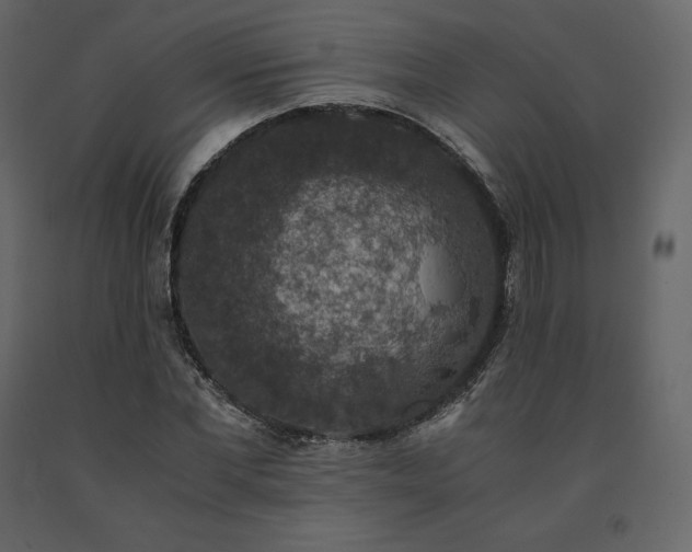 X0000091550877200708241753