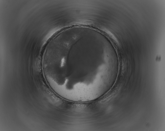 X0000091550878200708241753