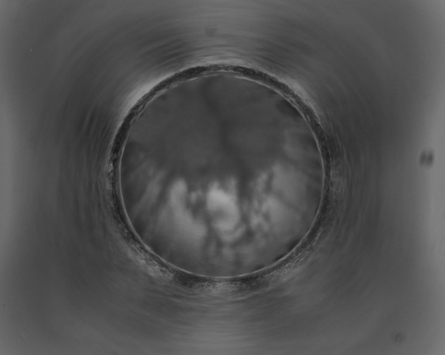 X0000091550879200708241753