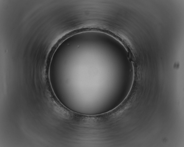 X0000091550880200708241753