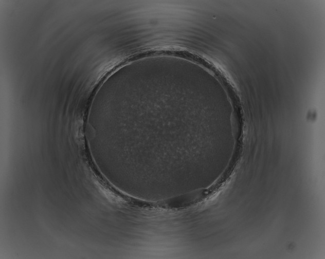 X0000091550881200708241753