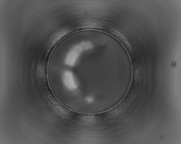 X0000091550882200708241753