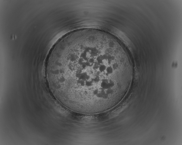 X0000091550883200708241753
