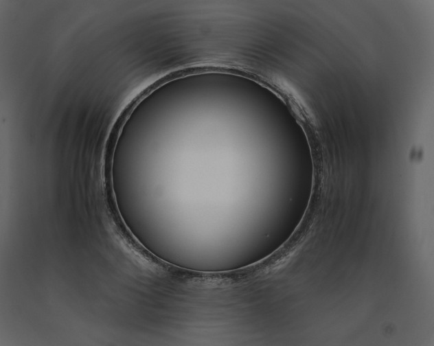 X0000091550884200708241753